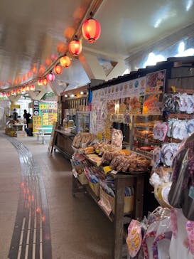 今帰仁城跡に投稿された画像（2025/3/25）