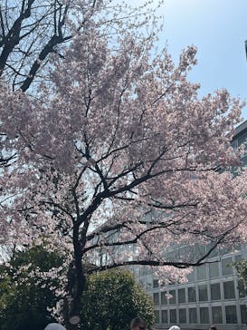恩賜上野動物園に投稿された画像（2025/3/25）