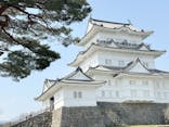 小田原城に投稿された画像（2025/3/25）