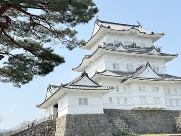 小田原城に投稿された画像（2025/3/25）