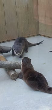 横浜・八景島シーパラダイスに投稿された画像（2025/3/25）