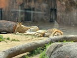 天王寺動物園に投稿された画像（2025/3/25）
