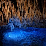 おきなわワールドに投稿された画像（2025/3/25）