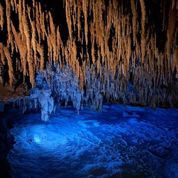 おきなわワールドに投稿された画像（2025/3/25）