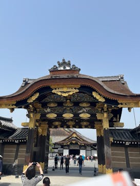 元離宮二条城に投稿された画像（2025/3/25）