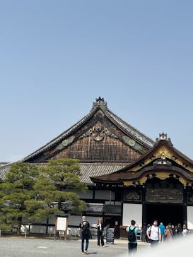 元離宮二条城に投稿された画像（2025/3/25）