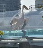 サンシャイン水族館に投稿された画像（2025/3/25）