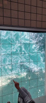 徳島県立 渦の道に投稿された画像（2025/3/25）