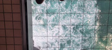 徳島県立 渦の道に投稿された画像（2025/3/25）