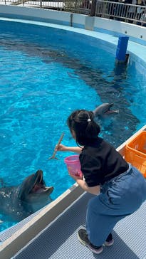 マリンワールド海の中道に投稿された画像（2025/3/25）