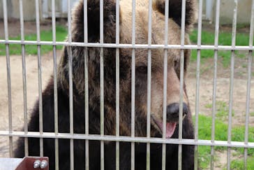 東武動物公園に投稿された画像（2025/3/25）
