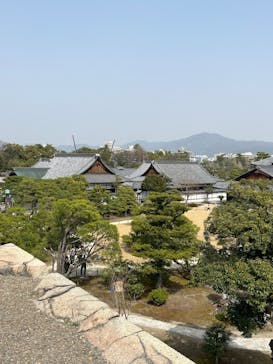 元離宮二条城に投稿された画像（2025/3/25）