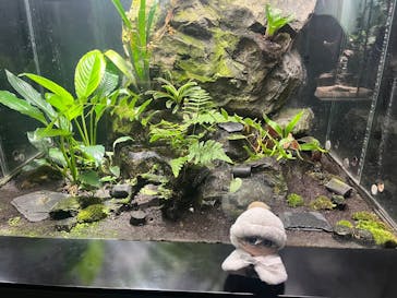 サンシャイン水族館に投稿された画像（2025/3/25）