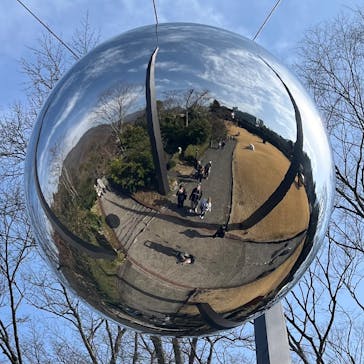 彫刻の森美術館に投稿された画像（2025/3/25）