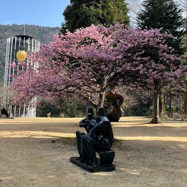 彫刻の森美術館に投稿された画像（2025/3/25）