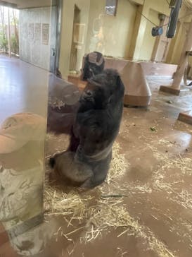 名古屋市東山動植物園に投稿された画像（2025/3/25）