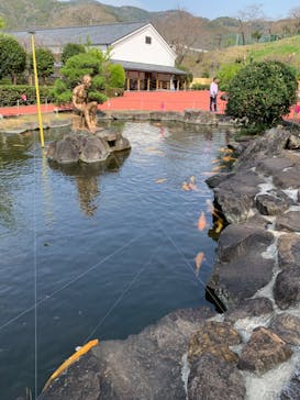 土肥金山に投稿された画像（2025/3/25）