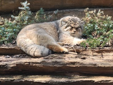 那須どうぶつ王国に投稿された画像（2025/3/25）