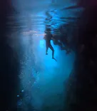 武藤潜水に投稿された画像（2025/3/25）