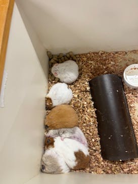 アニタッチ 東京ドームシティに投稿された画像（2025/3/25）