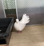 アニタッチ 東京ドームシティに投稿された画像（2025/3/25）