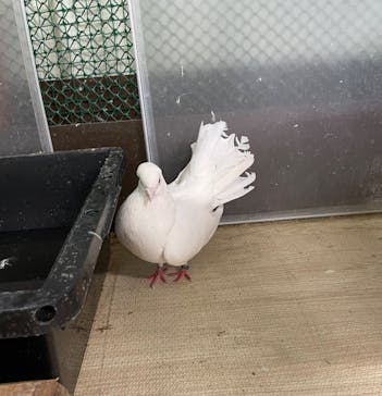 アニタッチ 東京ドームシティに投稿された画像（2025/3/25）