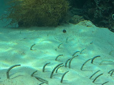 環境水族館アクアマリンふくしまに投稿された画像（2025/3/25）