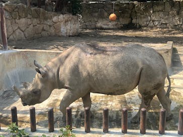 恩賜上野動物園に投稿された画像（2025/3/25）