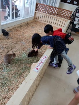 南知多ビーチランド＆南知多おもちゃ王国に投稿された画像（2025/3/25）