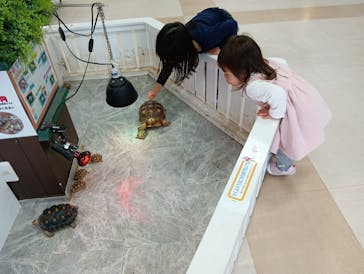 南知多ビーチランド＆南知多おもちゃ王国に投稿された画像（2025/3/25）