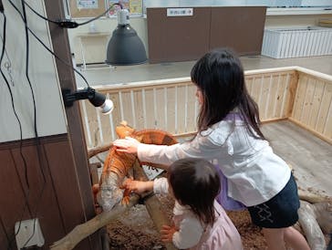 南知多ビーチランド＆南知多おもちゃ王国に投稿された画像（2025/3/25）