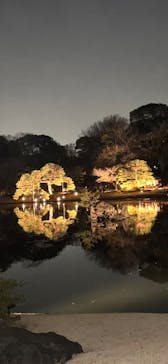 六義園に投稿された画像（2025/3/25）