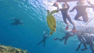  マリンショップHAPPYに投稿された画像（2025/3/25）