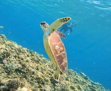  マリンショップHAPPYに投稿された画像（2025/3/25）