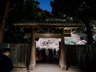 六義園に投稿された画像（2025/3/25）