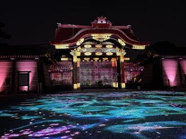 NAKED meets 二条城 2025 観月に投稿された画像（2025/3/25）