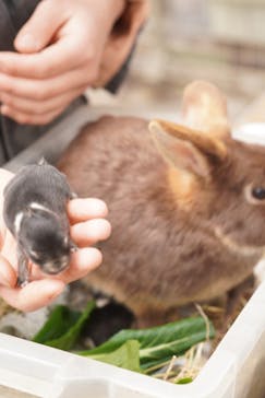 伊豆アニマルキングダムに投稿された画像（2025/3/25）