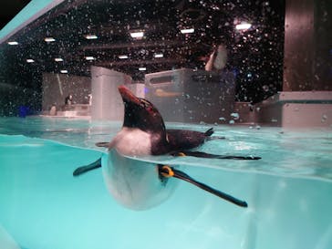 AOAO SAPPOROに投稿された画像（2025/3/25）