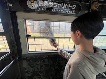 那須サファリパークに投稿された画像（2025/3/25）