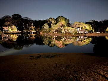 六義園に投稿された画像（2025/3/25）