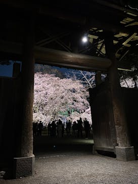 六義園に投稿された画像（2025/3/25）