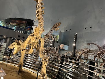 福井県立恐竜博物館に投稿された画像（2025/3/25）