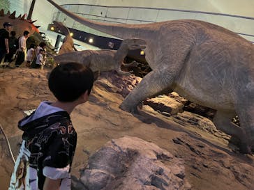 福井県立恐竜博物館に投稿された画像（2025/3/25）