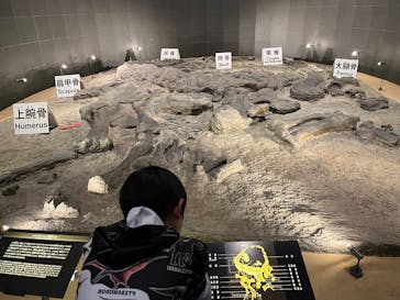 福井県立恐竜博物館に投稿された画像（2025/3/25）