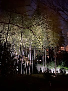 六義園に投稿された画像（2025/3/25）