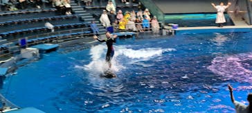 マクセル アクアパーク品川に投稿された画像（2025/3/25）