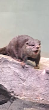 マクセル アクアパーク品川に投稿された画像（2025/3/25）