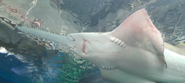 マクセル アクアパーク品川に投稿された画像（2025/3/25）