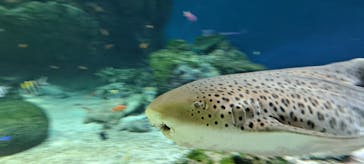 マクセル アクアパーク品川に投稿された画像（2025/3/25）