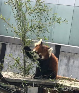 名古屋市東山動植物園に投稿された画像（2025/3/25）